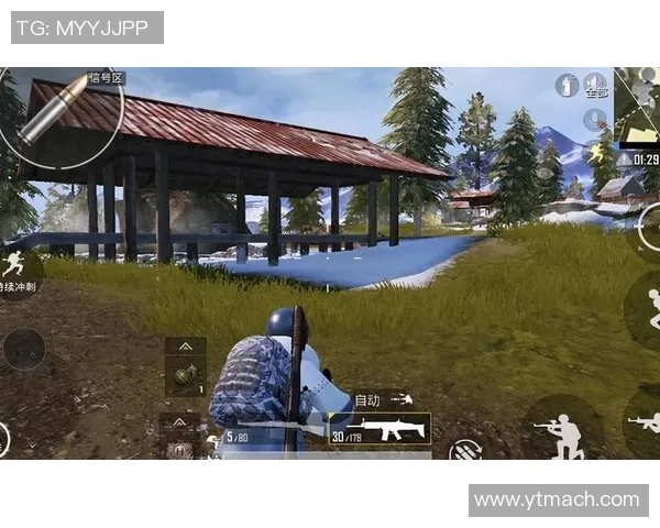 和平精英V5版本深度解析防守策略与技巧提升玩家生存能力